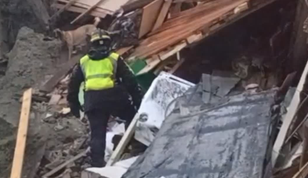 Crolla palazzina abbandonata alle porte di Roma: pompieri cercano extracomunitario che viveva al suo interno 1
