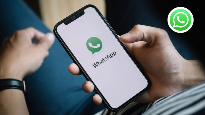 WhatsApp chiamate vocali