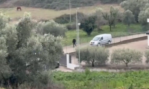 Femminicidio di Anguillara: arrestato dai carabinieri il marito di Federica Torzullo (VIDEO) 2