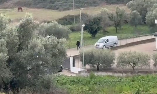Federica Torzullo, uccisa e sotterrata con una ruspa: manca l’arma del delitto, le bugie del marito 2