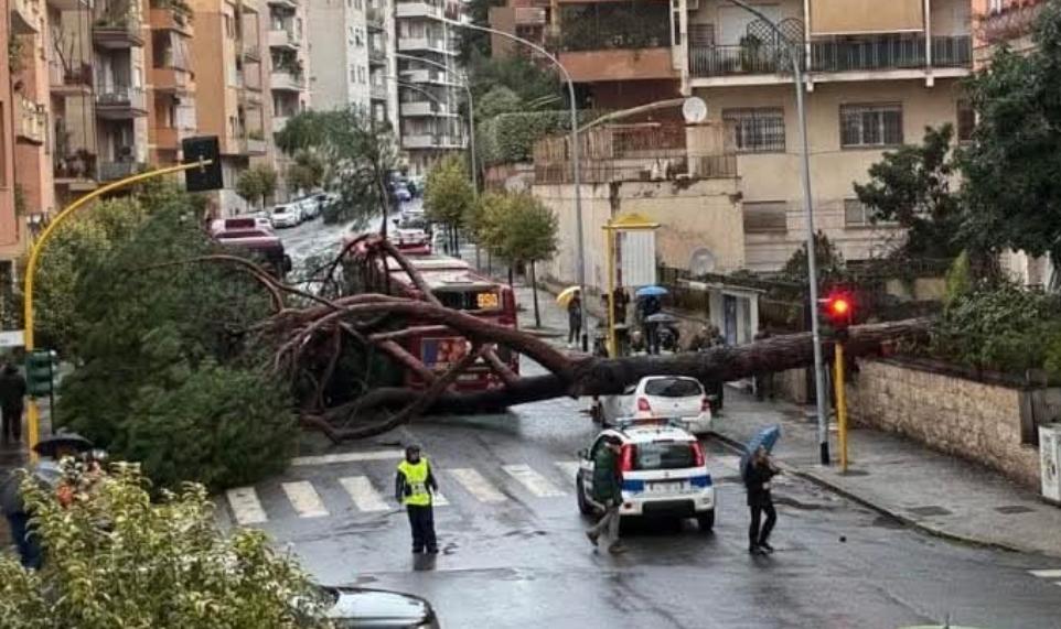Pino si schianta ai Fori Imperiali, tre passanti feriti (FOTO) 6