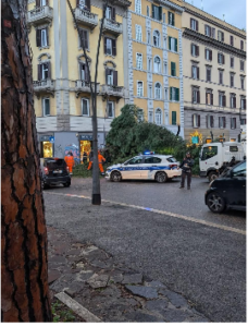 Paura nella capitale: dopo il pino al Colosseo altri alberi vengono giù in diverse parti della città (FOTO) 1 Paura nella capitale: dopo il pino al Colosseo altri alberi vengono giù in diverse parti della città (FOTO) 1