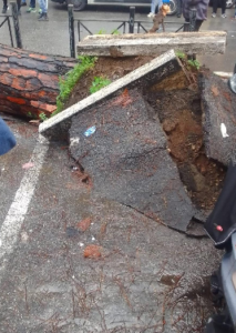 Paura nella capitale: dopo il pino al Colosseo altri alberi vengono giù in diverse parti della città (FOTO) 2 Paura nella capitale: dopo il pino al Colosseo altri alberi vengono giù in diverse parti della città (FOTO) 2