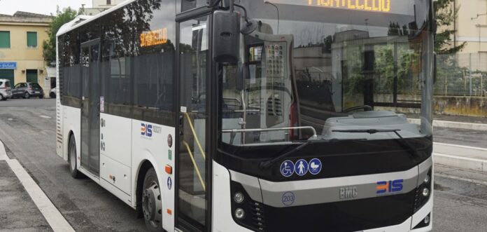 bus-linea-bis
