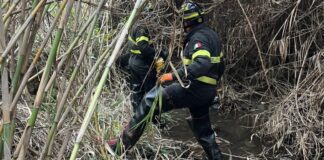 Cavallo finisce in un dirupo a Cerveteri: corsa contro il tempo per salvarlo