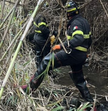 Cavallo finisce in un dirupo a Cerveteri: corsa contro il tempo per salvarlo