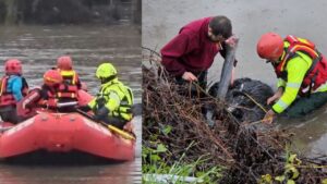 Maltempo sul Lazio: recuperato uno struzzo nell'Aniene (VIDEO)