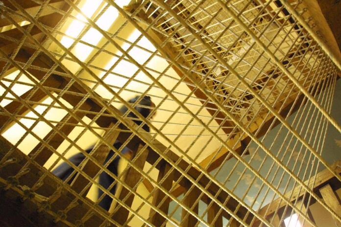 Salerno, la denuncia: l’omicida del panettiere di Sarno si fotografa in cella con il fratello