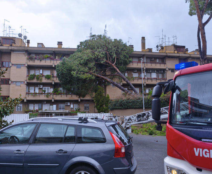 Danni da maltempo a Roma: sottopassi allagati e crolli di alberature. Pino distrugge tre auto (FOTO) 1