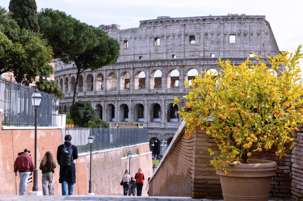 Torna l'incanto del belvedere sui Fori Imperiali: dopo anni riapre tra profumi e fiori la terrazza Antonio Cederna (FOTO) 1