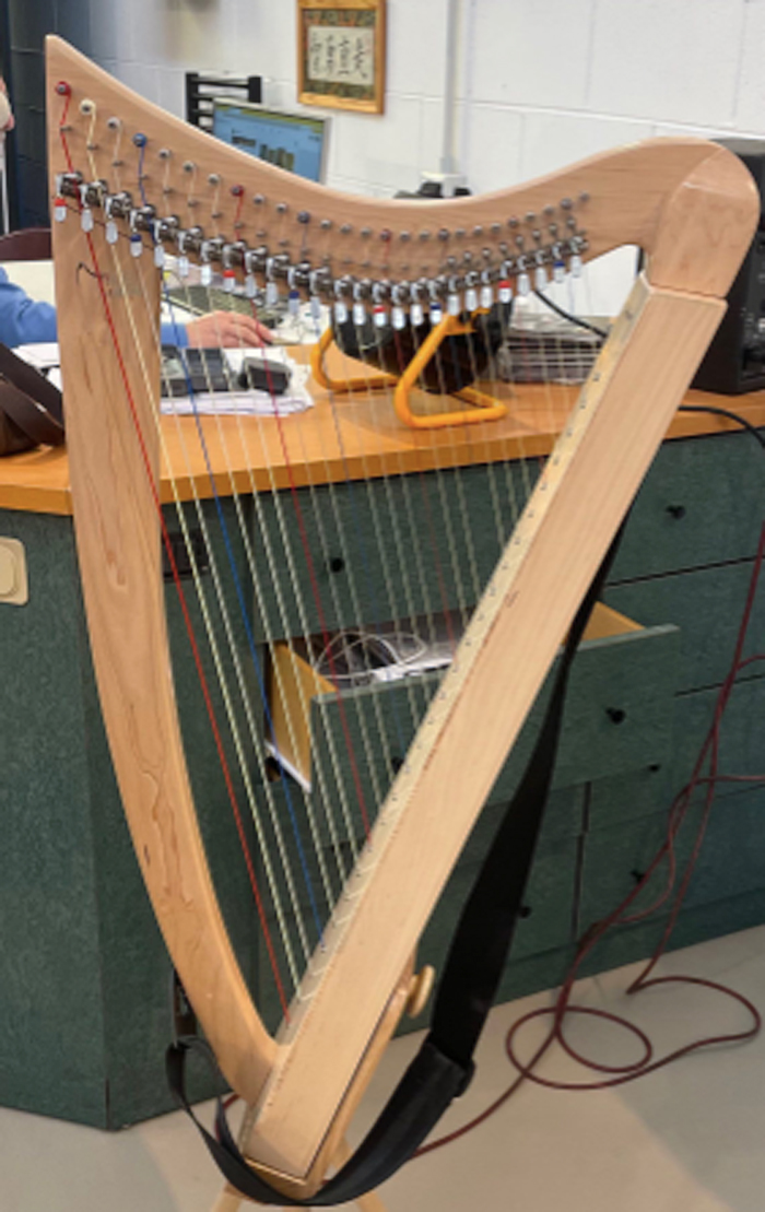 L'arpista Martina Natuzzi derubata al Tuscolano: la sua famosa arpa celtica sparita in pochi minuti con la tecnica jammer (FOTO) 1 L'arpista Martina Natuzzi derubata al Tuscolano: la sua famosa arpa celtica sparita in pochi minuti con la tecnica jammer (FOTO) 1
