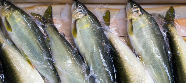 a gaeta pesce sequestrato