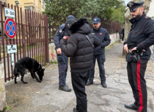 Quartieri di Nettuno al setaccio tra gemme e ametiste: tutte le zone a rischio criminalità 1 Quartieri di Nettuno al setaccio tra gemme e ametiste: tutte le zone a rischio criminalità 1