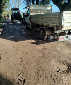 A Ostia Antica isolati sulle strade poderali 'piste da motocross'. Residenti infuriati: “Neanche ai cavalli” 3 A Ostia Antica isolati sulle strade poderali 'piste da motocross'. Residenti infuriati: “Neanche ai cavalli” 3
