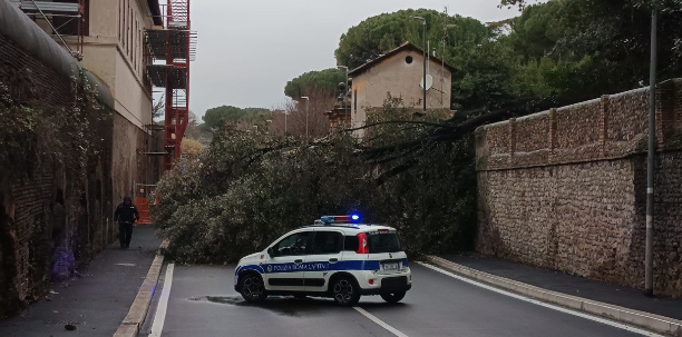 Maltempo a Roma: albero sulla Centrale Termica e allagamenti. Le strade chiuse 2 Maltempo a Roma: albero sulla Centrale Termica e allagamenti. Le strade chiuse 2