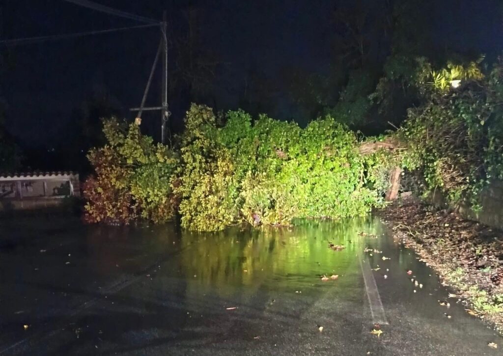 Vento e pioggia abbattono alberi: strade chiuse in più zone di Roma e palazzine scoperchiate in provincia 2
