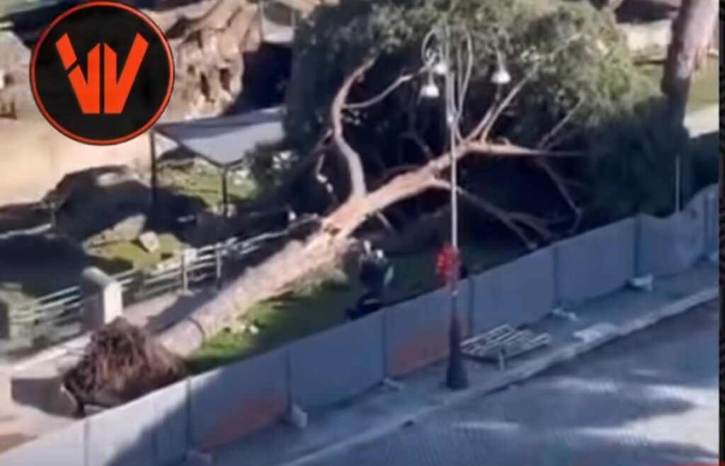 Pino si schianta ai Fori Imperiali, tre passanti feriti (FOTO) 4