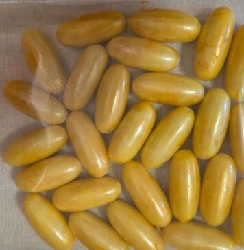 Corriere della droga ingerisce ovuli con cocaina: a Fiumicino arrestata sudamericana