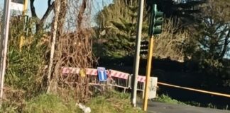 Cade un albero: strada chiusa tra Ostia e Ostia Antica