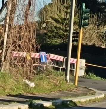 Cade un albero: strada chiusa tra Ostia e Ostia Antica