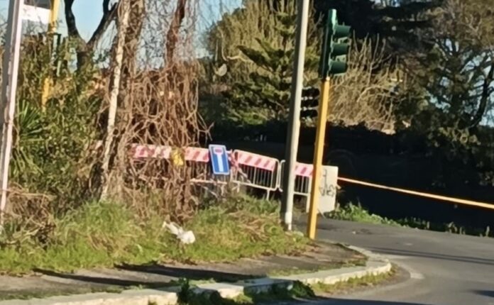 Cade un albero: strada chiusa tra Ostia e Ostia Antica