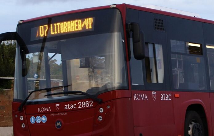 linea-07