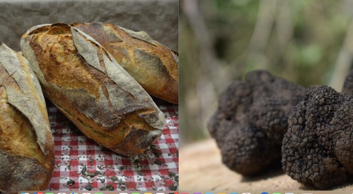 Pane e tarufo di Camterano