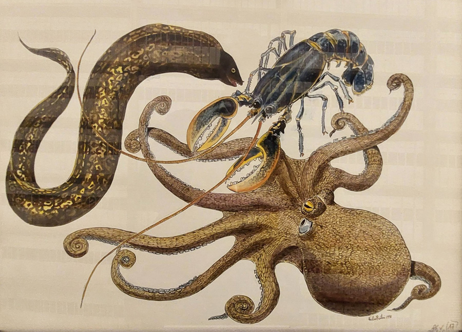 L’arte di proteggere la natura: a Roma la grande mostra gratuita sugli acquerelli e i taccuini segreti di Fulco Pratesi (FOTO) 3 L’arte di proteggere la natura: a Roma la grande mostra gratuita sugli acquerelli e i taccuini segreti di Fulco Pratesi (FOTO) 3