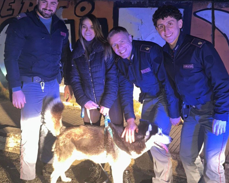 Cane smarrito ad Acilia attraversa la strada tra le auto: salvato in extremis e restituito alla proprietaria dalla polizia 1 Cane smarrito ad Acilia attraversa la strada tra le auto: salvato in extremis e restituito alla proprietaria dalla polizia 1