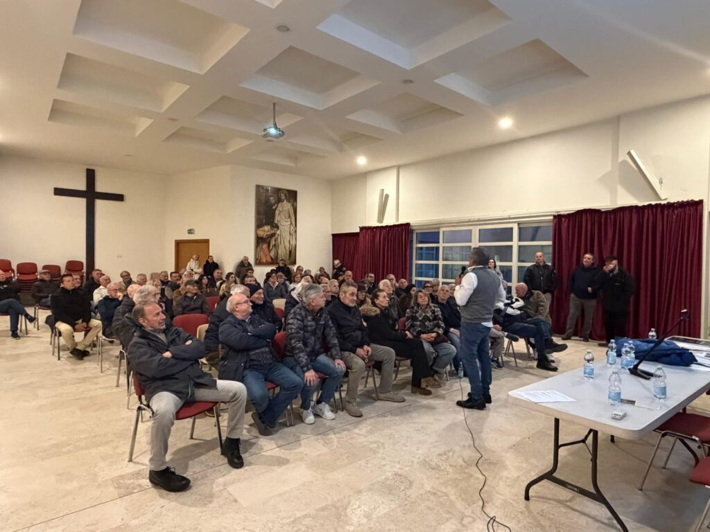 “Municipio assente sui pini dell’ Infernetto”. Falconi: “Invitati in ritardo” 1