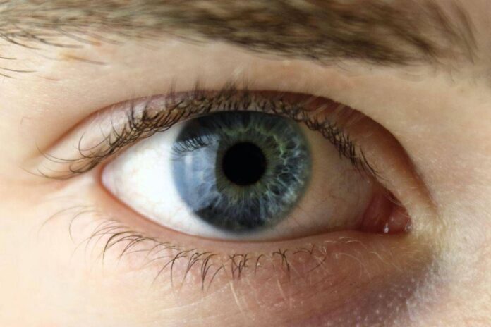 Chirurgia vitroretinica, al Miulli di Bari formazione sulla gestione dei casi complessi