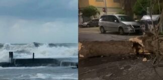 Maltempo a Ostia: mattinata difficile tra vento, forte mareggiata e alberi crollati