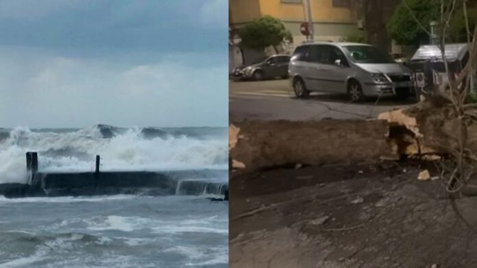 Maltempo a Ostia: mattinata difficile tra vento, forte mareggiata e alberi crollati