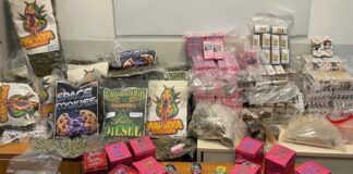 Blitz della Polizia a Roma, scoperto emporio della droga: sequestrati oltre 40 kg di stupefacenti, 5 arresti (VIDEO)