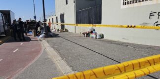 Sgombero al Curvone di Ostia: rimossa la rivendita abusiva di libri usati