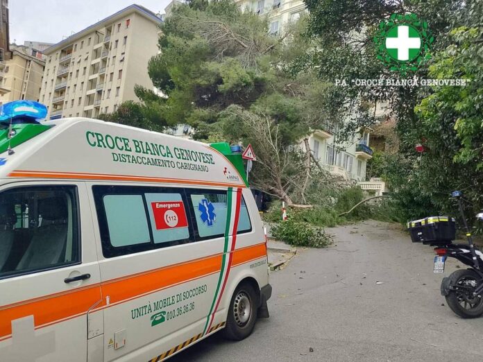 Maltempo sull’Italia, donna ferita da un ramo caduto a Genova. Grandine e pioggia a Roma, traffico in tilt