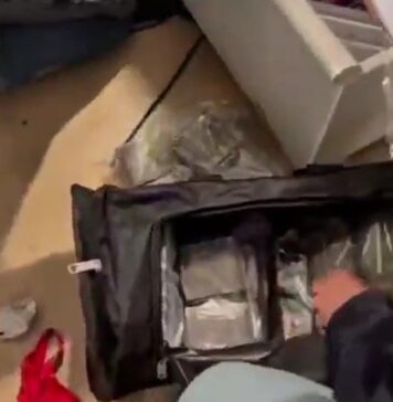 Bazar della droga in casa a Ostia: scritte cartoon per nascondere oltre 60 kg di stupefacenti (VIDEO)