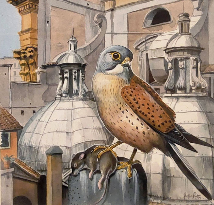 L’arte di proteggere la natura: a Roma la grande mostra gratuita sugli acquerelli e i taccuini segreti di Fulco Pratesi (FOTO) 2 L’arte di proteggere la natura: a Roma la grande mostra gratuita sugli acquerelli e i taccuini segreti di Fulco Pratesi (FOTO) 2