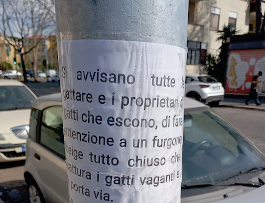 "Attenzione al furgone beige": ad Acilia torna l’incubo dei sequestri di animali. Stavolta riguarda i gatti (FOTO) 1 "Attenzione al furgone beige": ad Acilia torna l’incubo dei sequestri di animali. Stavolta riguarda i gatti (FOTO) 1