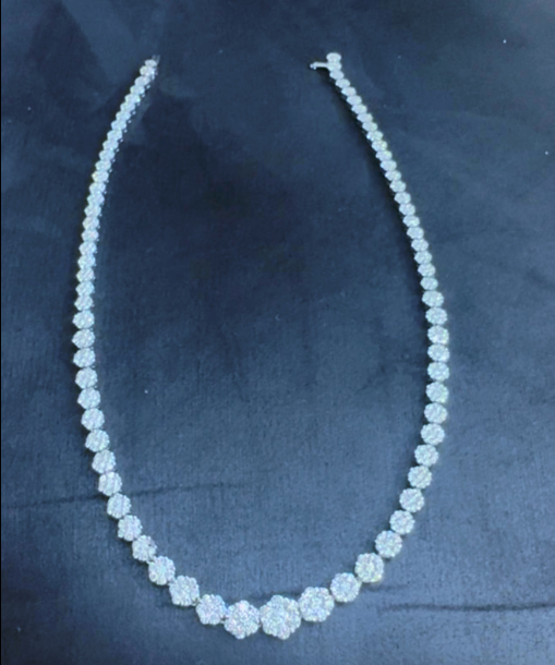 Appello disperato ai Parioli: scomparso collier di diamanti, maxi ricompensa per il ritrovamento (FOTO) 1