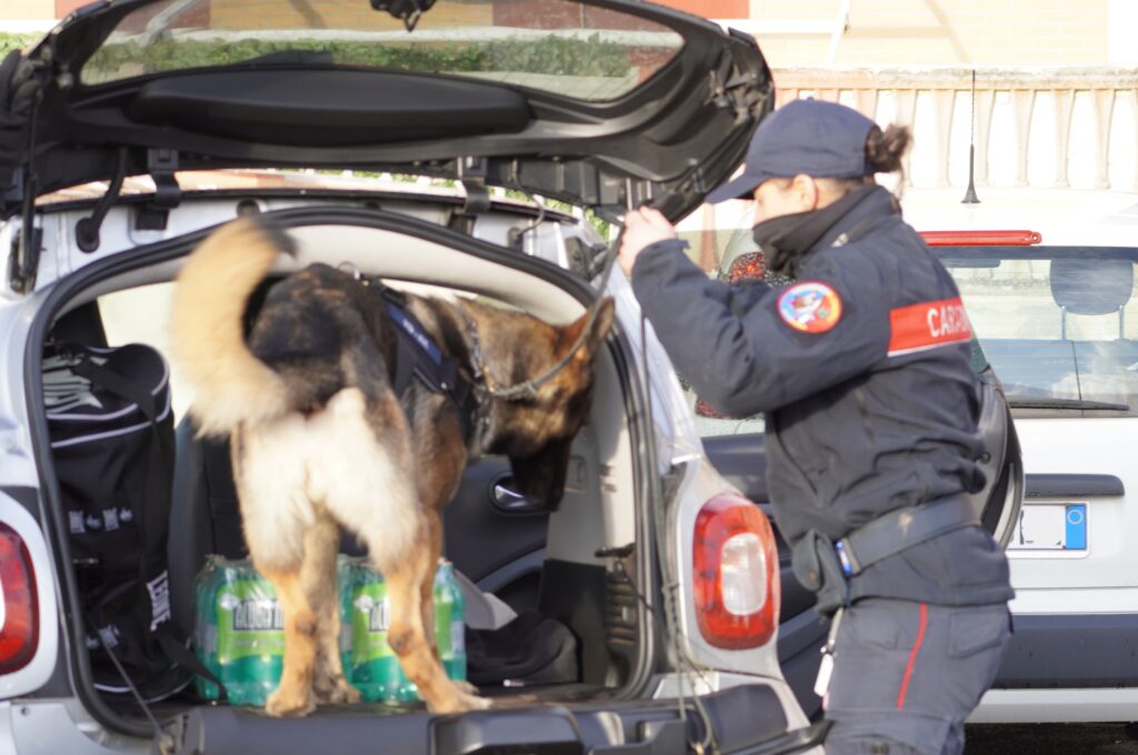 Maxi blitz a Ostia e sul litorale: 100 carabinieri in campo, elicotteri e 17 arresti 1