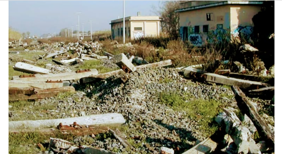 a fiumicino treno