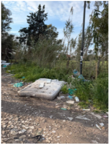 Guerra alle discariche a cielo aperto all’Infernetto. Marchesi: “C’è amianto e l’ente locale non ha mai pulito” 3 Guerra alle discariche a cielo aperto all’Infernetto. Marchesi: “C’è amianto e l’ente locale non ha mai pulito” 3