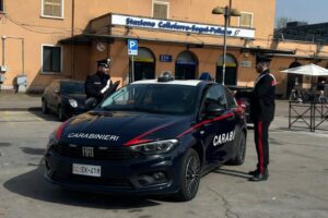 Morte gatto Cesare, mascotte dei pendolari di Colleferro: denunciato un operaio 1