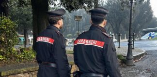 guidonia
