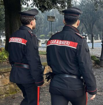 guidonia
