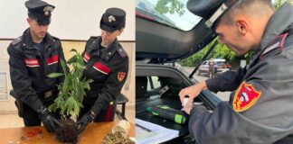 Controlli a tappeto sul litorale romano: arresti e denunce tra Ostia, Fiumicino e Fregene