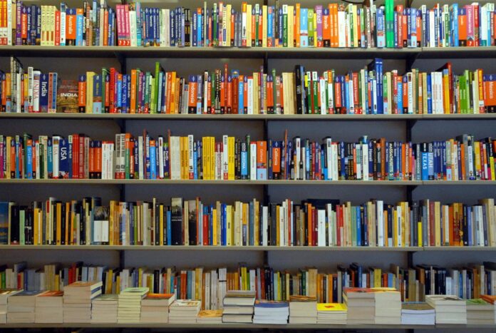 Da David Foster Wallace a Pierre Lemaitre, le novità in libreria