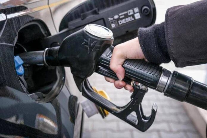 Dl accise: associazioni, servizi trasporto autobus a rischio senza correttivi immediati