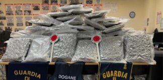 Carico di droga sequestrato al porto di Civitavecchia: stupefacenti nascosti tra stoffe e prodotti chimici